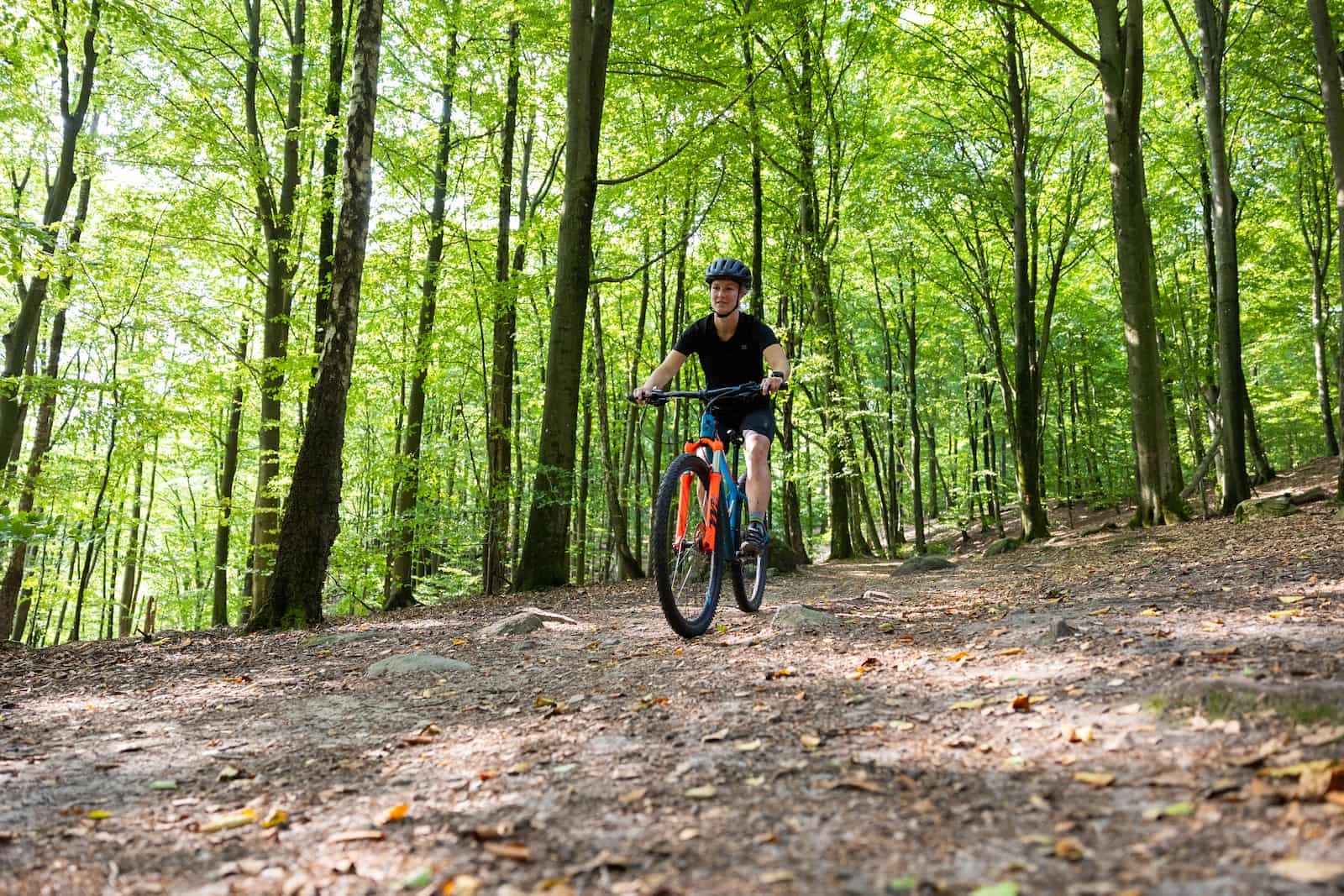 Mountainbike og MTB-spor nær First Camp Grenen Strand – Skagen