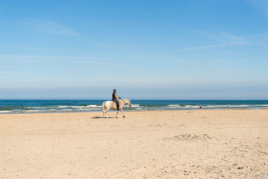 Rømø og Nationalpark Vadehavet ved Vesterhavet