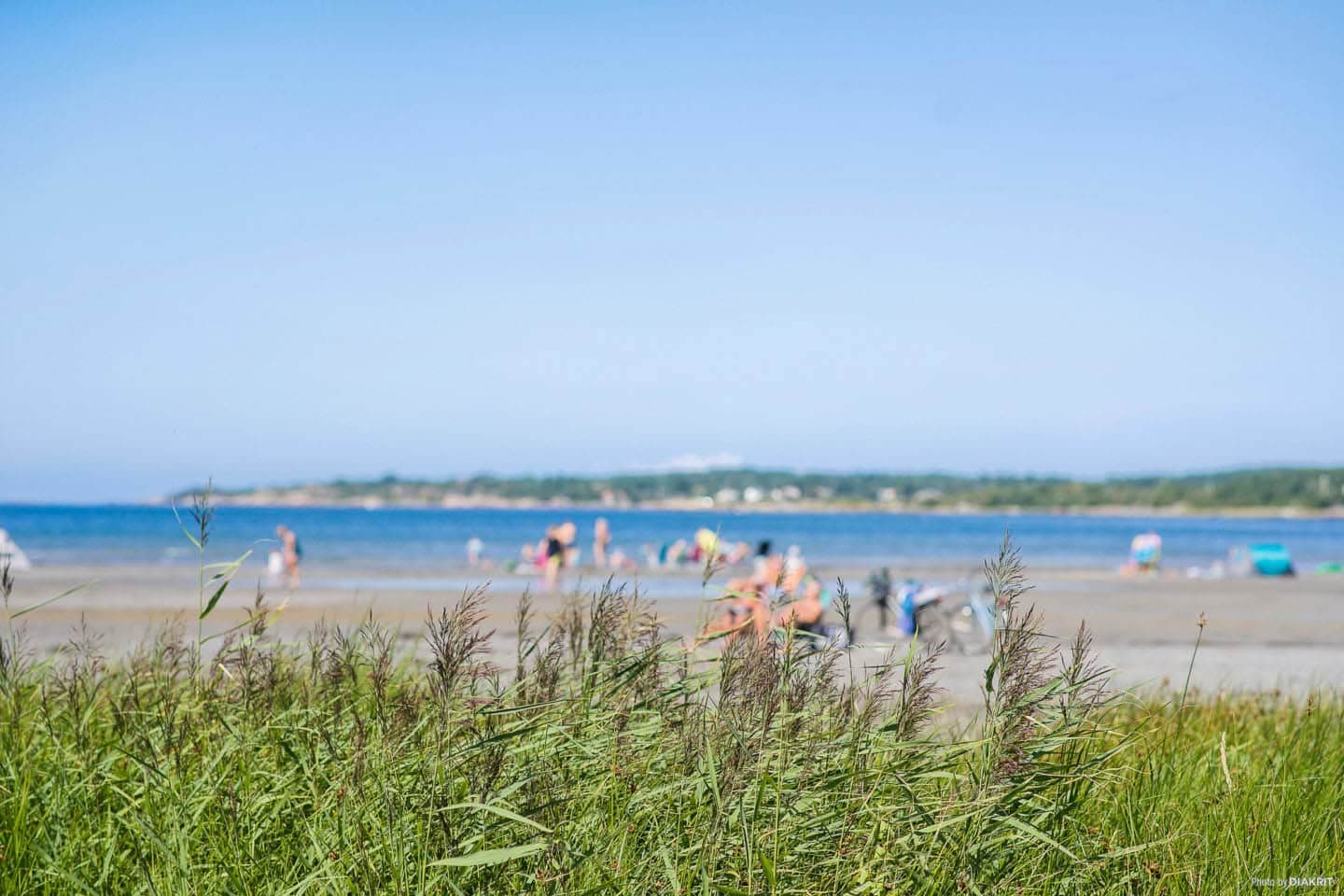 Kärradal strand