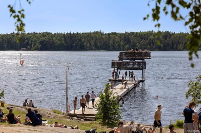 City Stockholm camping från stranden med brygga, hopptorn och människor som badar.
