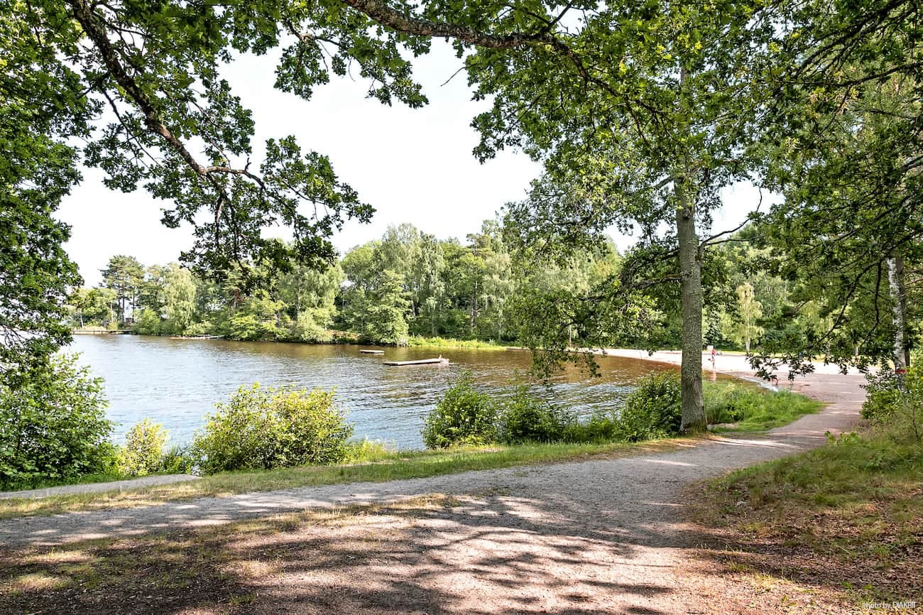 Hundevenlig camping i Sverige med store grønne arealer.