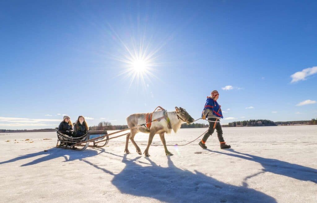 Två personer som åker släde efter en ren ute på isen vid arcus - luleå