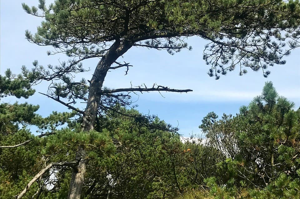 Nationalpark Wattenmeer