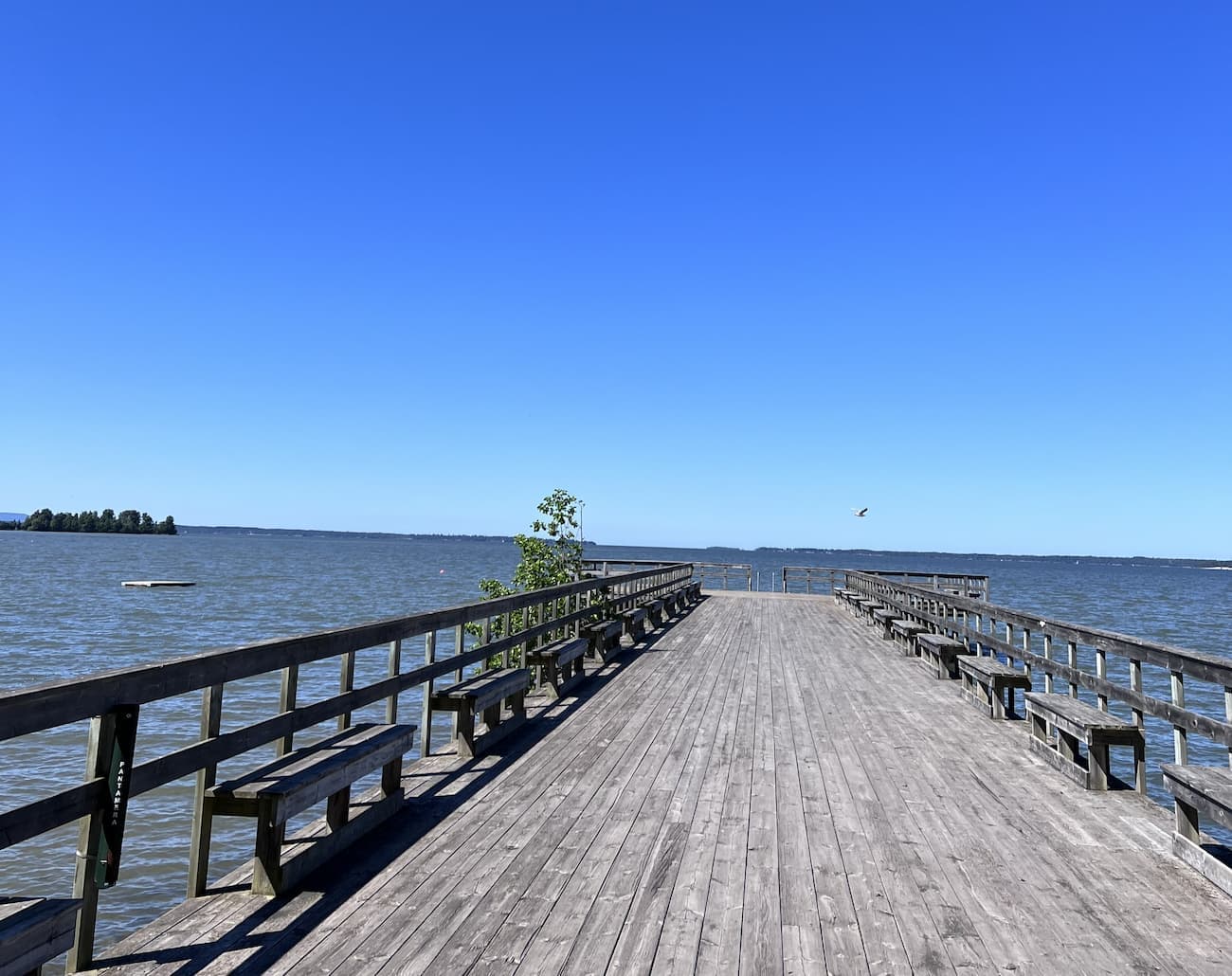 Camping med fiske i Vänern vid First Camp Ekudden – gädda, gös och abborre året runt.