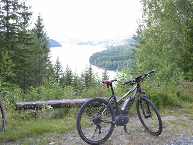 Cykelture i Telemark