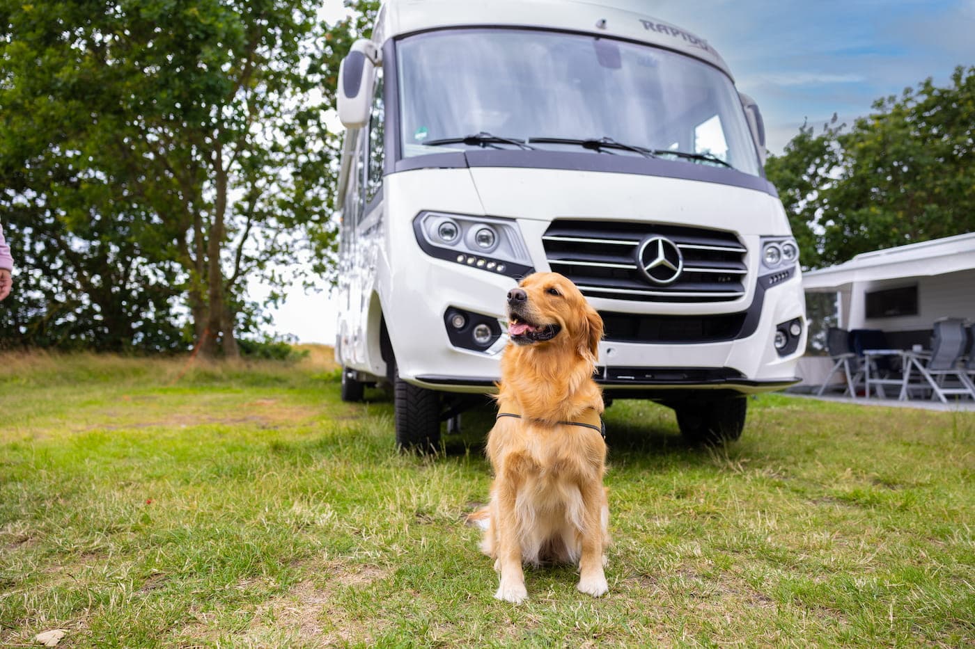 Camping med hund på First Camp Bogense City på Fyn