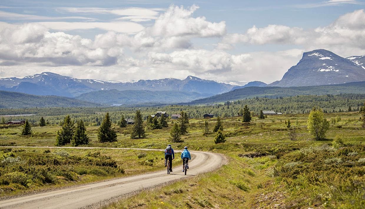 Cyklist på Mjølkevegen gennem fjeldlandskab i Valdres nær Beitostølen