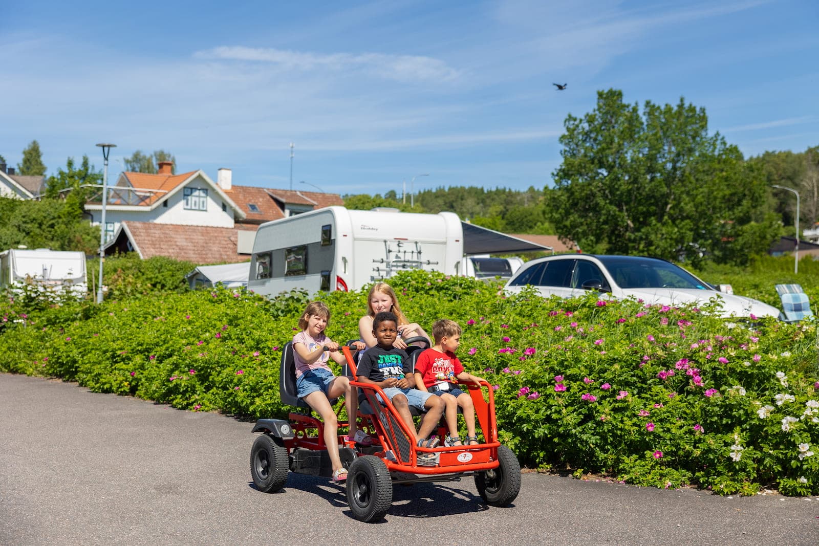 Camping tæt på Kolmårdens Dyrepark på First Camp Kolmården – Norrköping