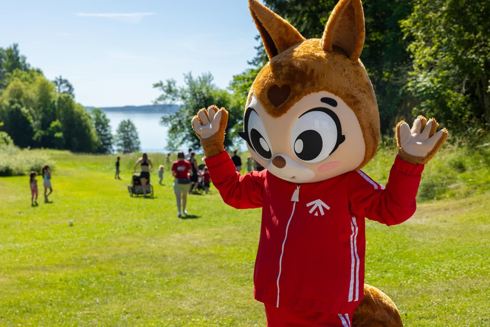 First Camp Kolmården – Norrköping – camping nära djurpark och Bråviken med stugor och naturnära upplevelser.