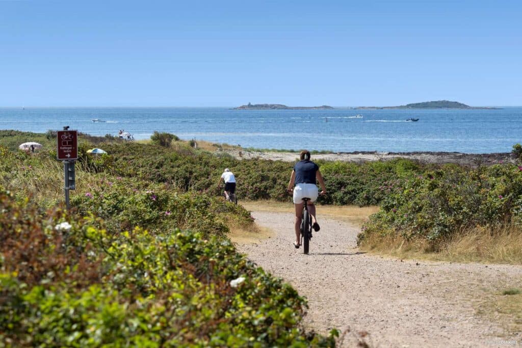 Cykelferie langs Cykelleden Skåne i Sydsverige