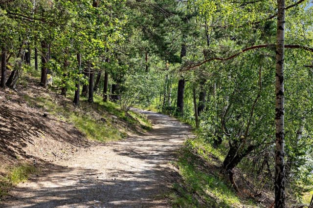 City Stockholm naturen vid campingen med vandringsstigar