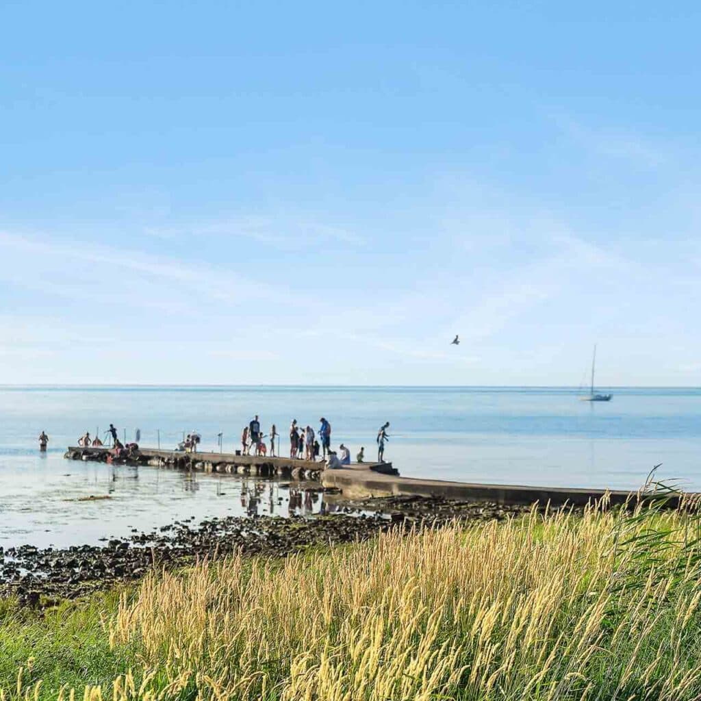 Bastad Torekov havet