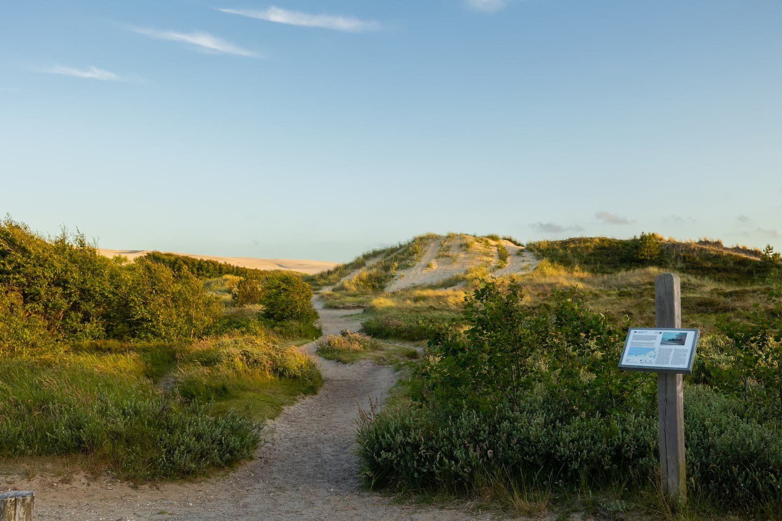 Overnatning for orienteringsklubber på i Råbjerg Mile - Skagen