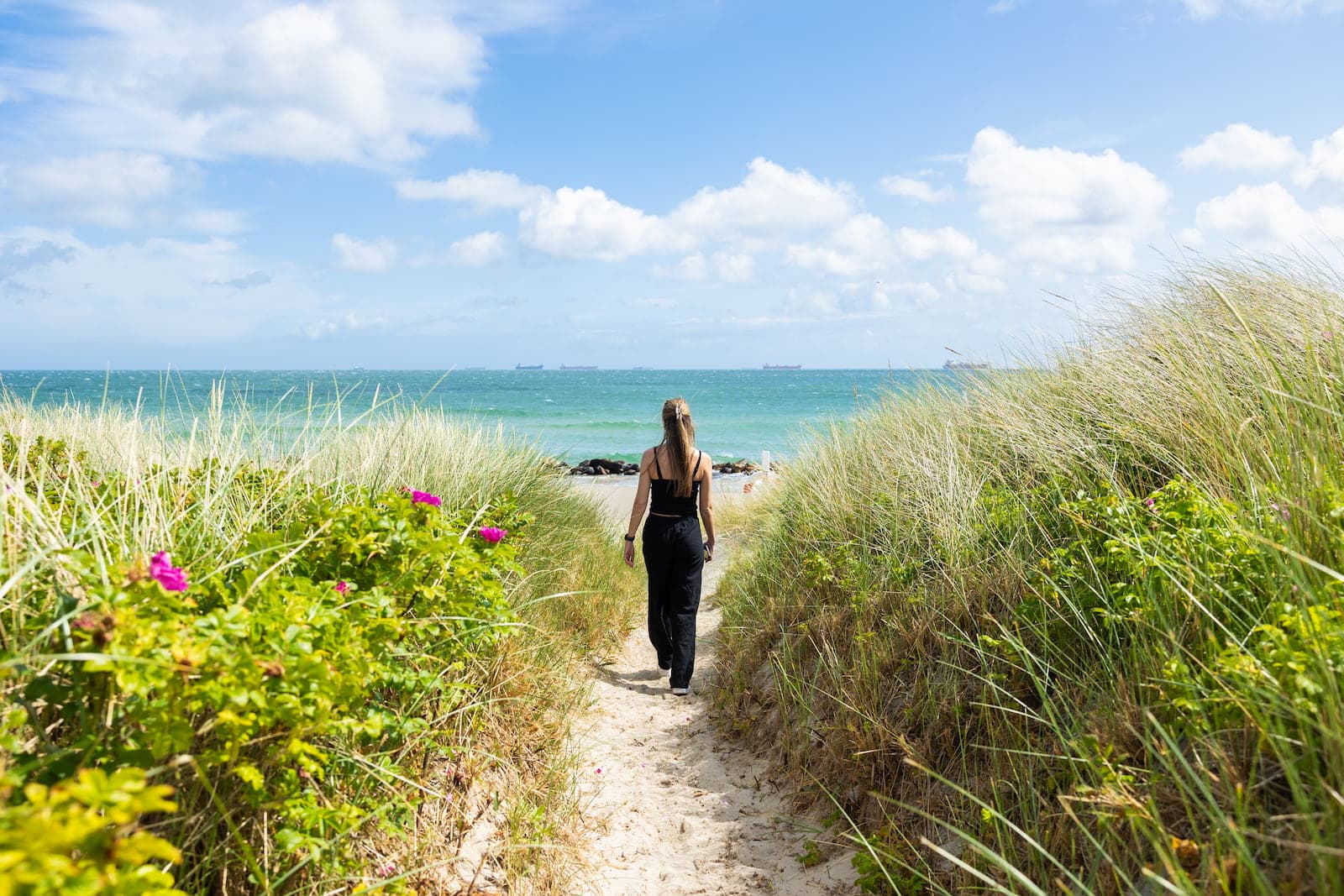 Sandstrand vid Grenen Strand i Skagen med utsikt över havet