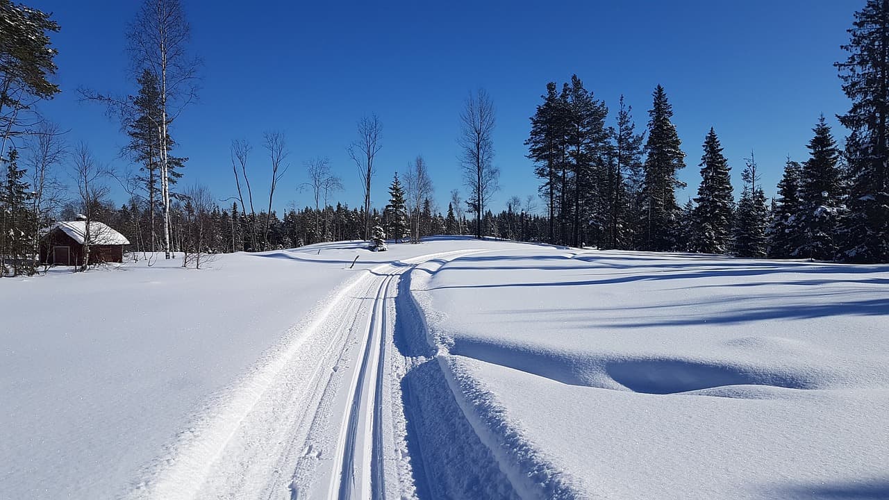 Längdskidor i dalarna