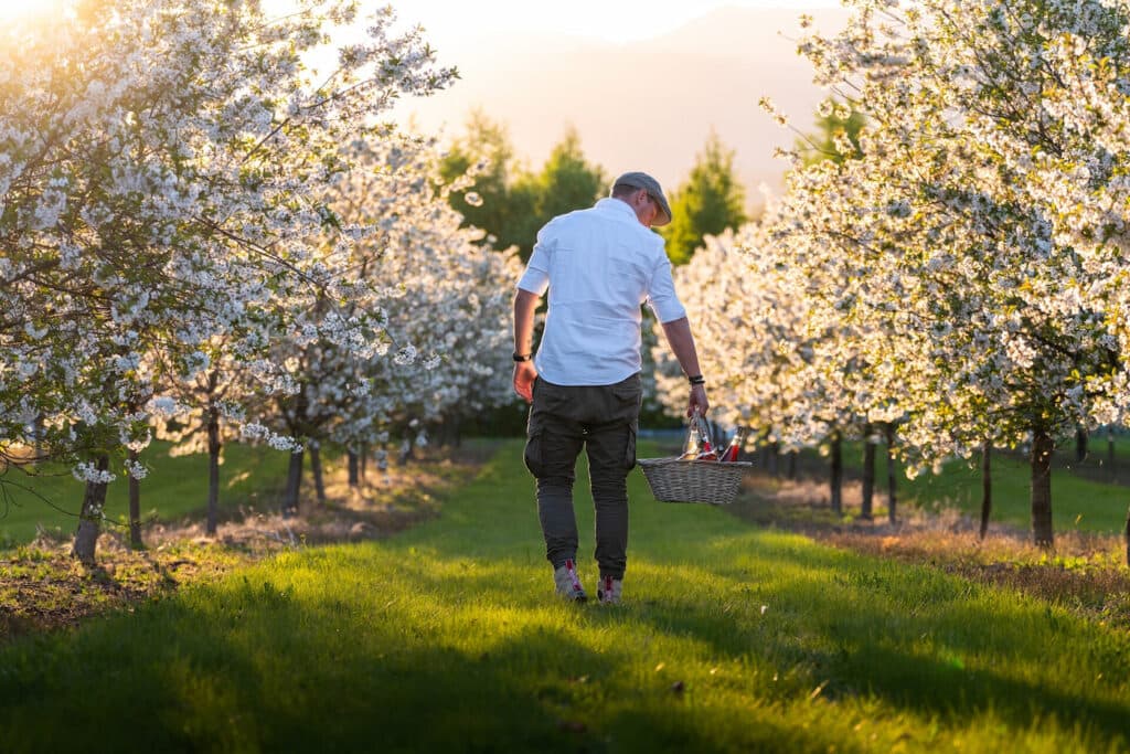 Fruktbygda Gvarv Telemark