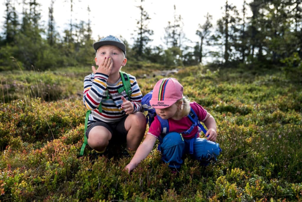 Barn som plockar svamp i Norge.